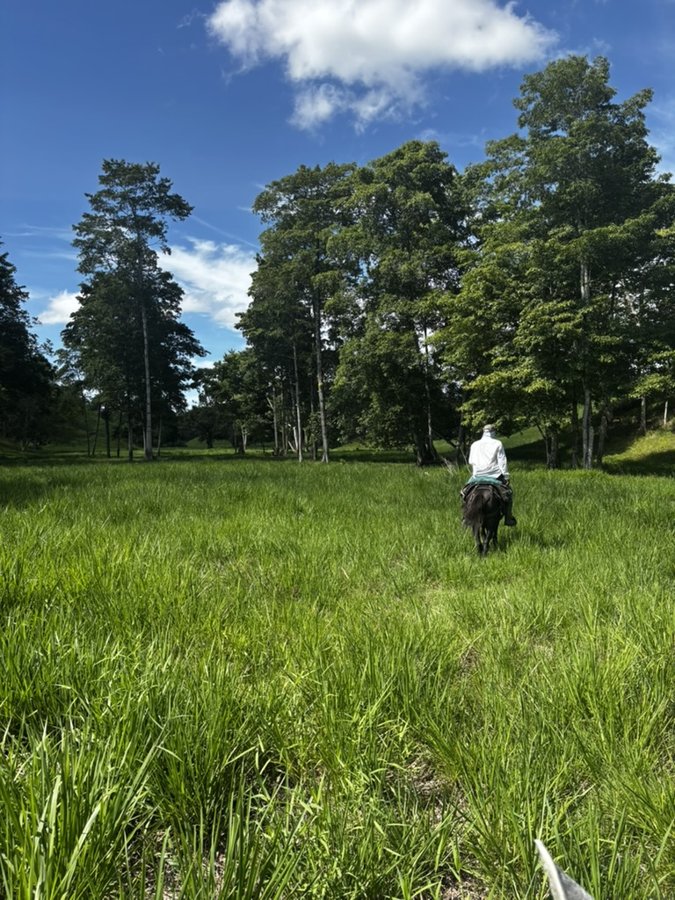 Recorriendo un potrero a caballo