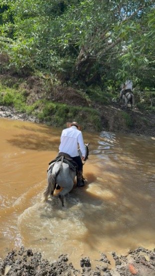 Cruzando la quebrada a caballo