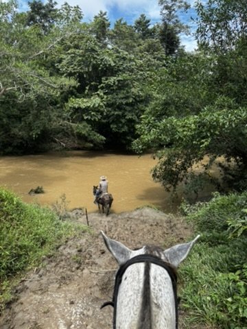 Llegando a la quebrada a caballo